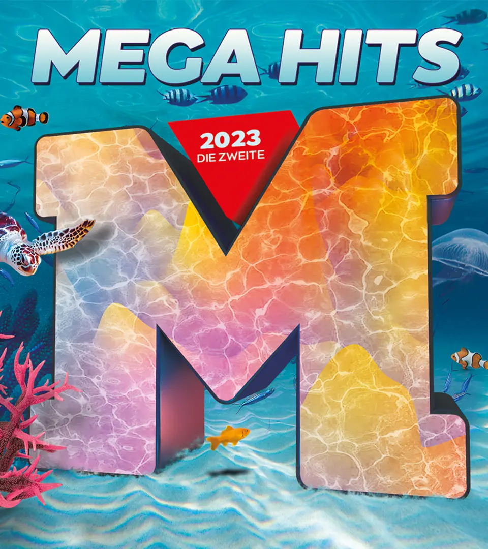 Mega Hits Detail 7