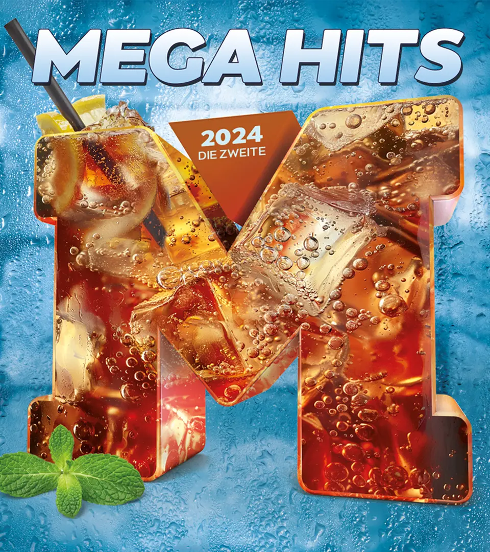 Mega Hits Detail 8