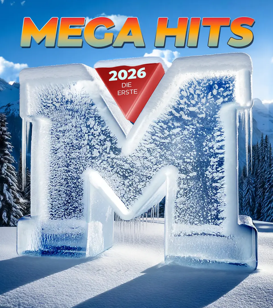 Mega Hits Detail 9