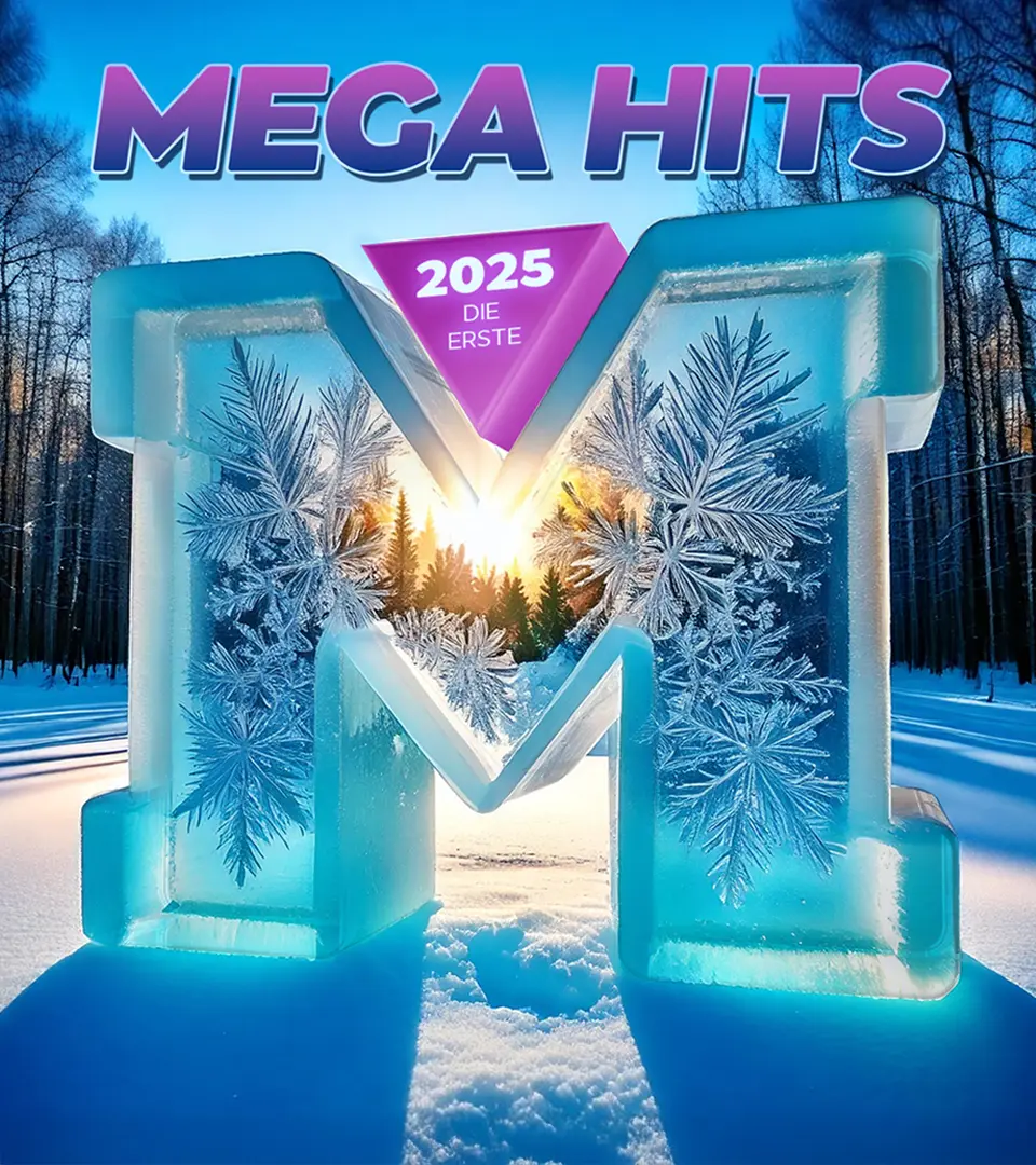 Mega Hits Detail 11
